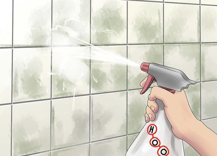 Help! I Have Mold in My Bathroom